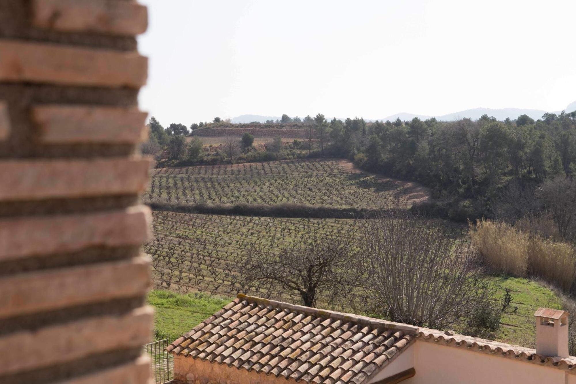 Casa Rural Masia Les Apieres El Pla de Manlleu Eksteriør billede